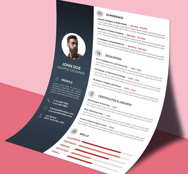 Free Professional CV/Resume Template