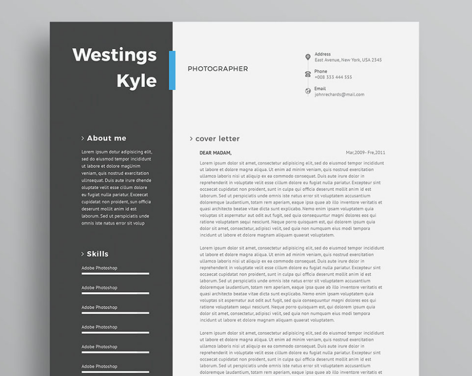 Free Professional Resume Template